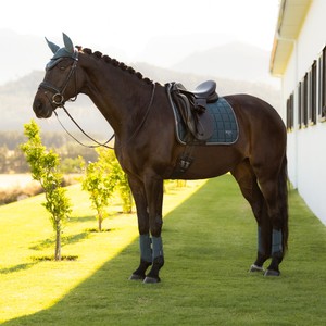 LeMieux LeMieux Loire Classic Dressage Square in Jungle