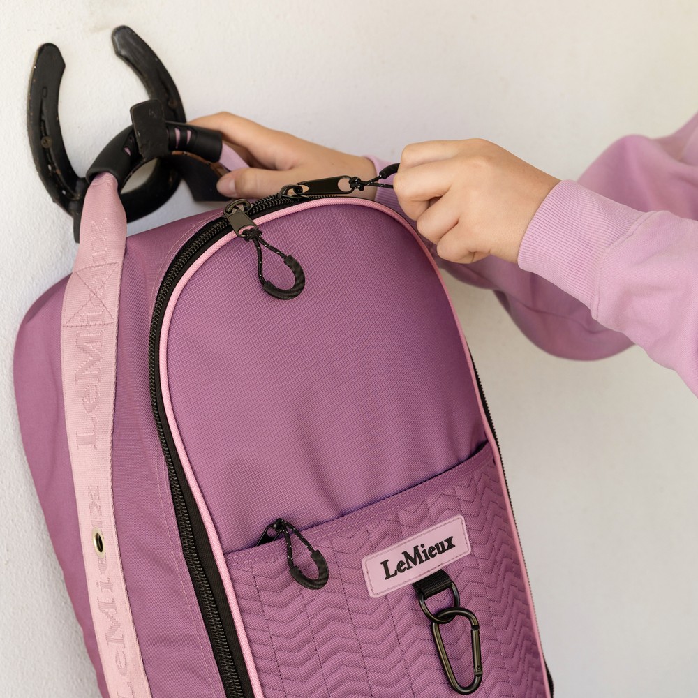 LeMieux Anatomical Bridle Bag Pink