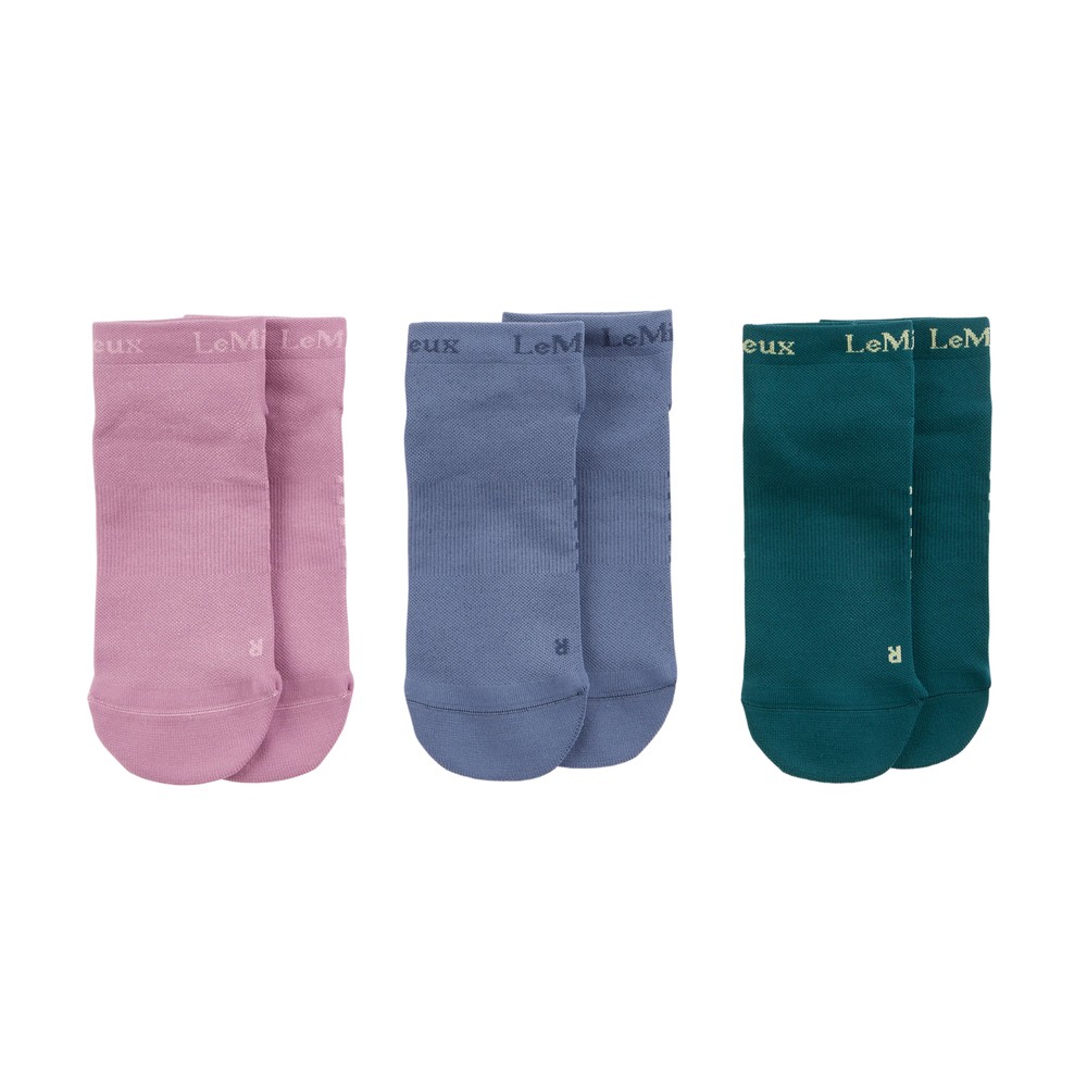 LeMieux Trainer Sock (3 Pack) Multi