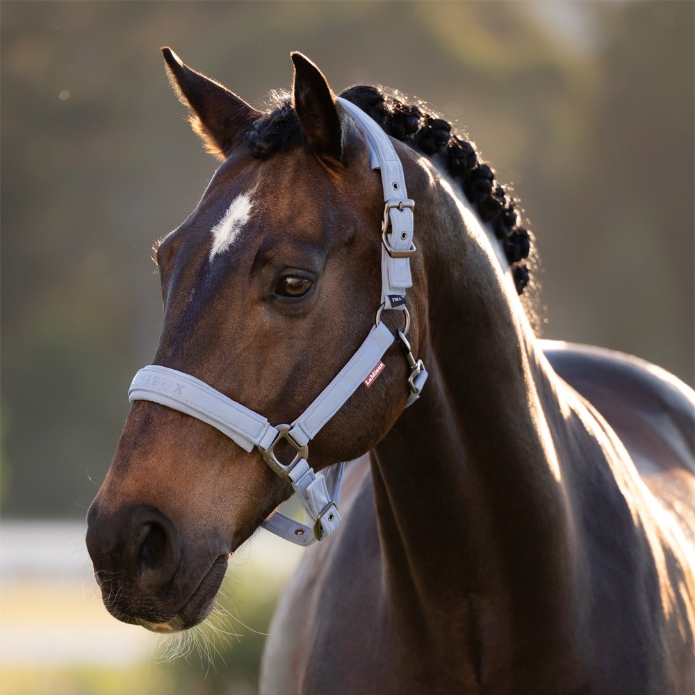LeMieux Essence Headcollar Blue