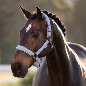 LeMieux LeMieux Essence Headcollar in Powder Blue