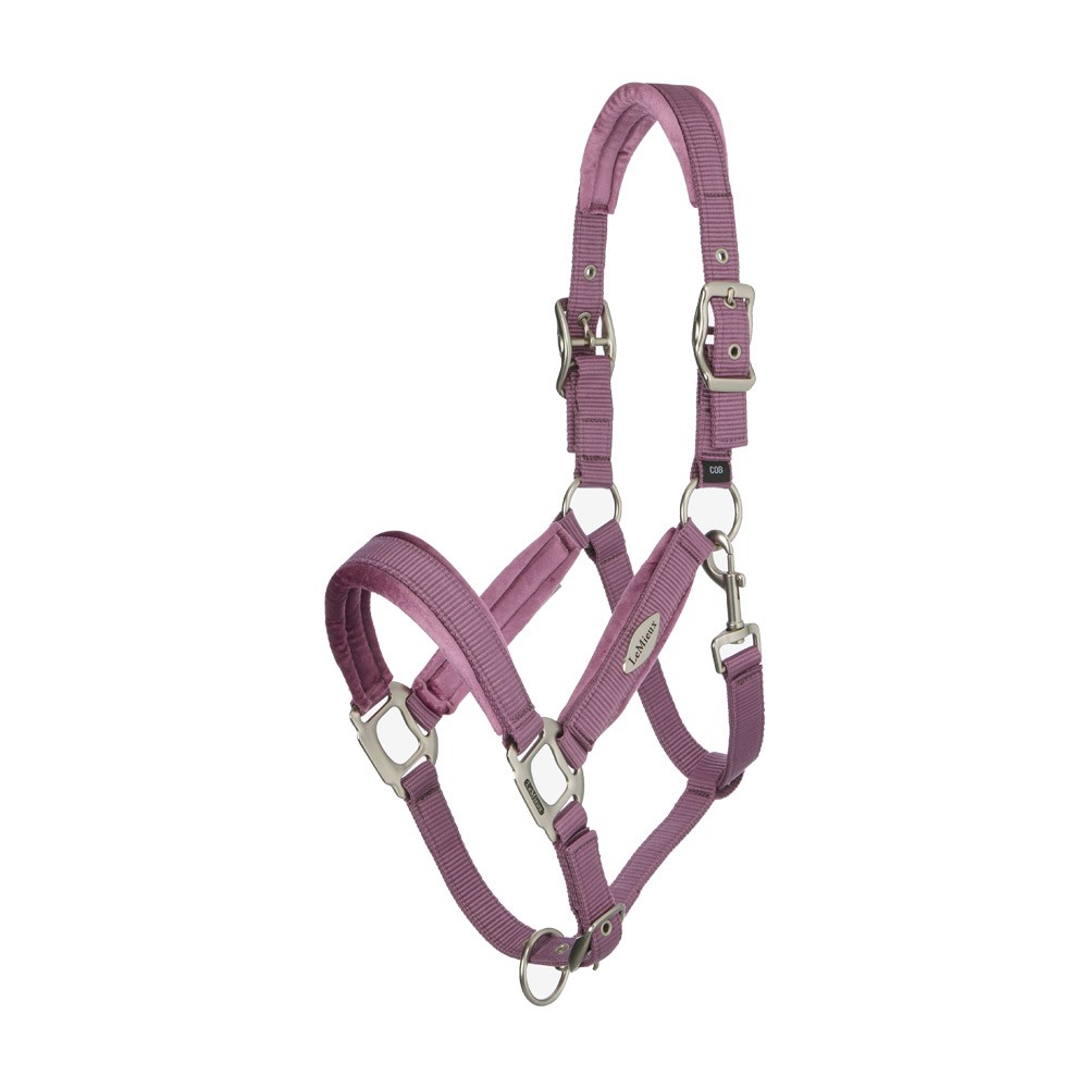 LeMieux LeMieux Versailles Headcollar in Mallow