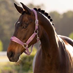 LeMieux LeMieux Versailles Headcollar in Mallow