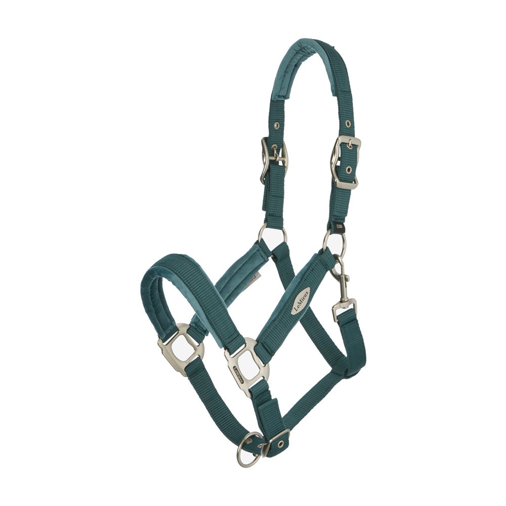 LeMieux Versailles Headcollar Green
