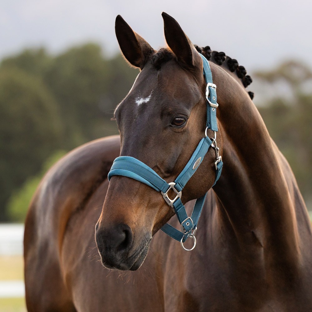 LeMieux Versailles Headcollar Green