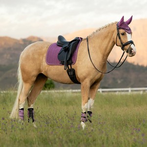 LeMieux LeMieux Suede Dressage Square in Mallow
