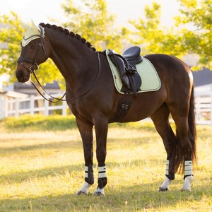 LeMieux LeMieux Suede Dressage Square in Macaron