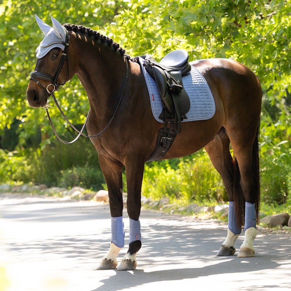 LeMieux Suede Dressage Square Blue