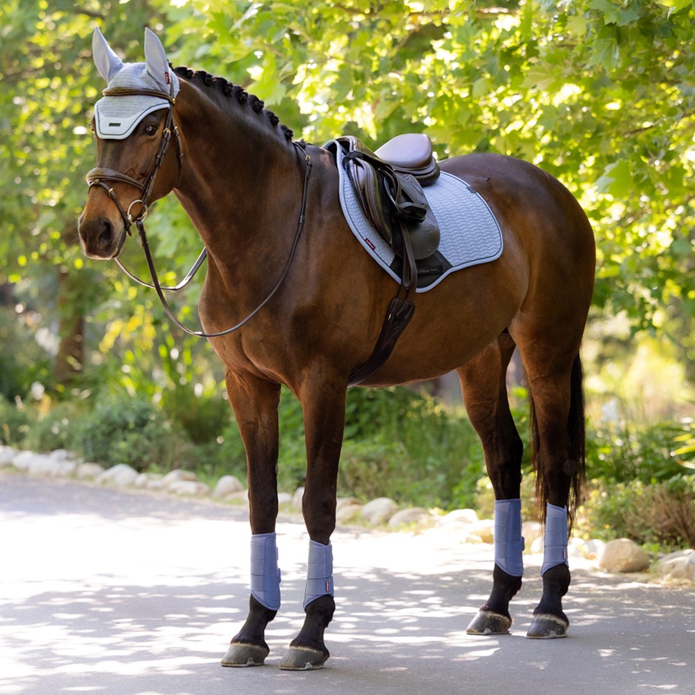 LeMieux Essence Close Contact Square Blue