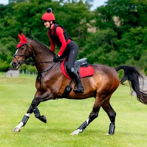 LeMieux LeMieux Suede Close Contact Square in Chilli