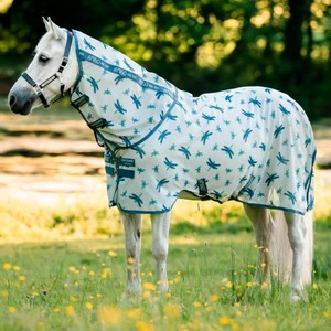 Horseware Amigo Bug Rug Plus Pony Fly Sheet in Dragonfly Print