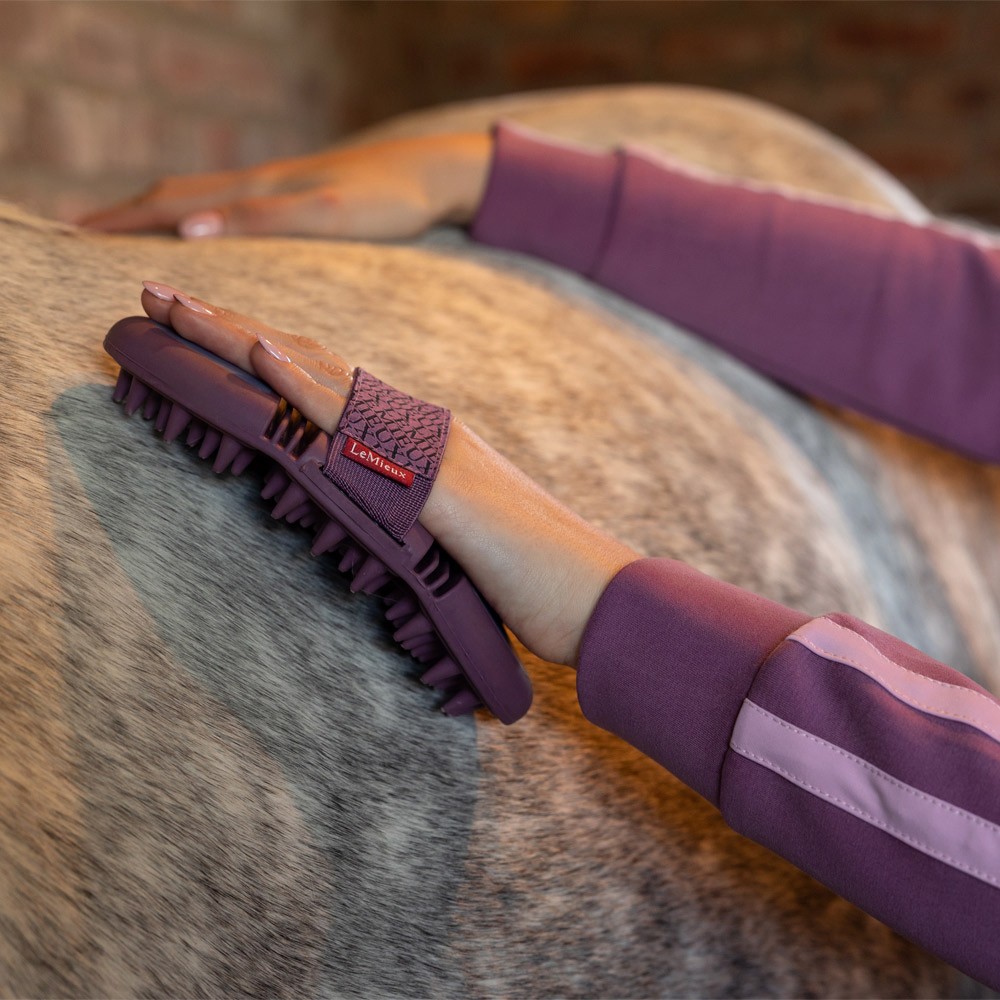 LeMieux Flexi Massage Brush Blue