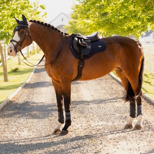 LeMieux LeMieux Loire Classic GP Square in Navy