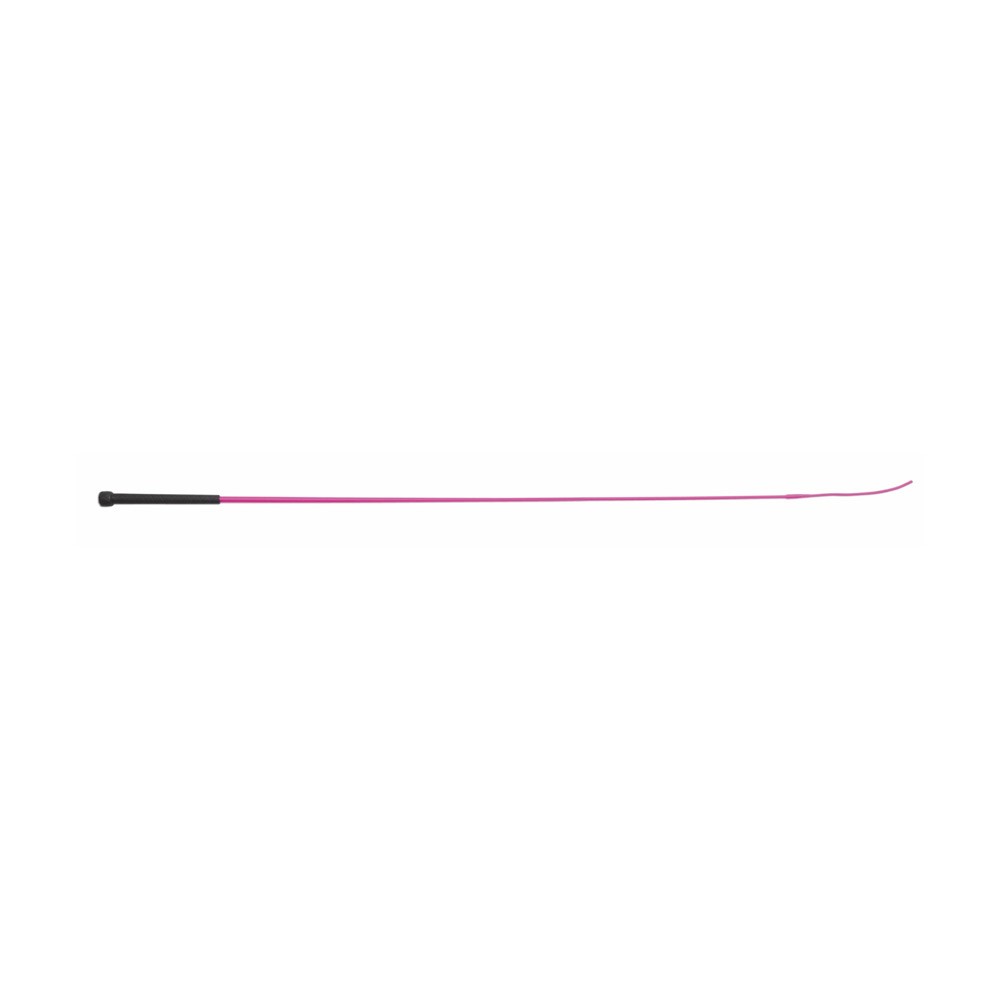 Shires Shires Economy Schooling Whip in Raspberry