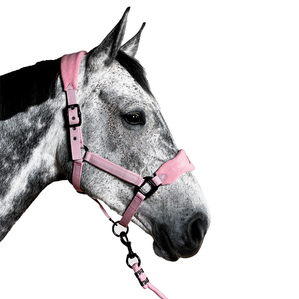 Aztec Diamond Aztec Diamond Panel Head Collar in Pink