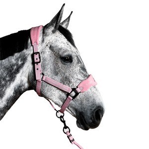 Aztec Diamond Aztec Diamond Panel Head Collar in Pink