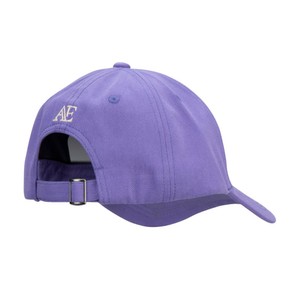 Shires Shires Aubrion Equestrian Cap in Heather
