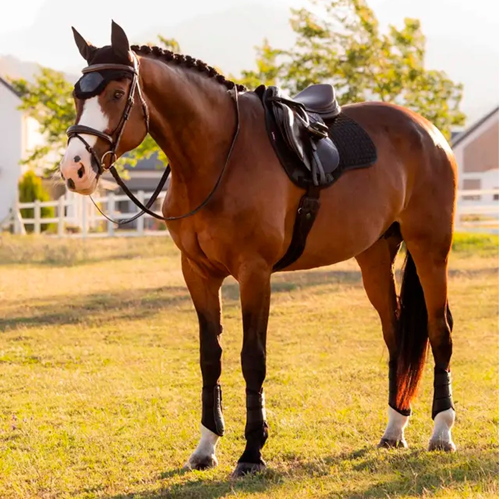 LeMieux Cotton GP Square Saddle Pad Black