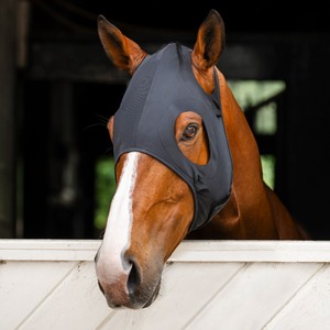 Horseware Horseware Ionic Calming Face Mask in Black
