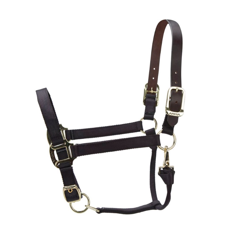 Shires Shires ARMA Premium Adjustable FieldSafe Headcollar in Black