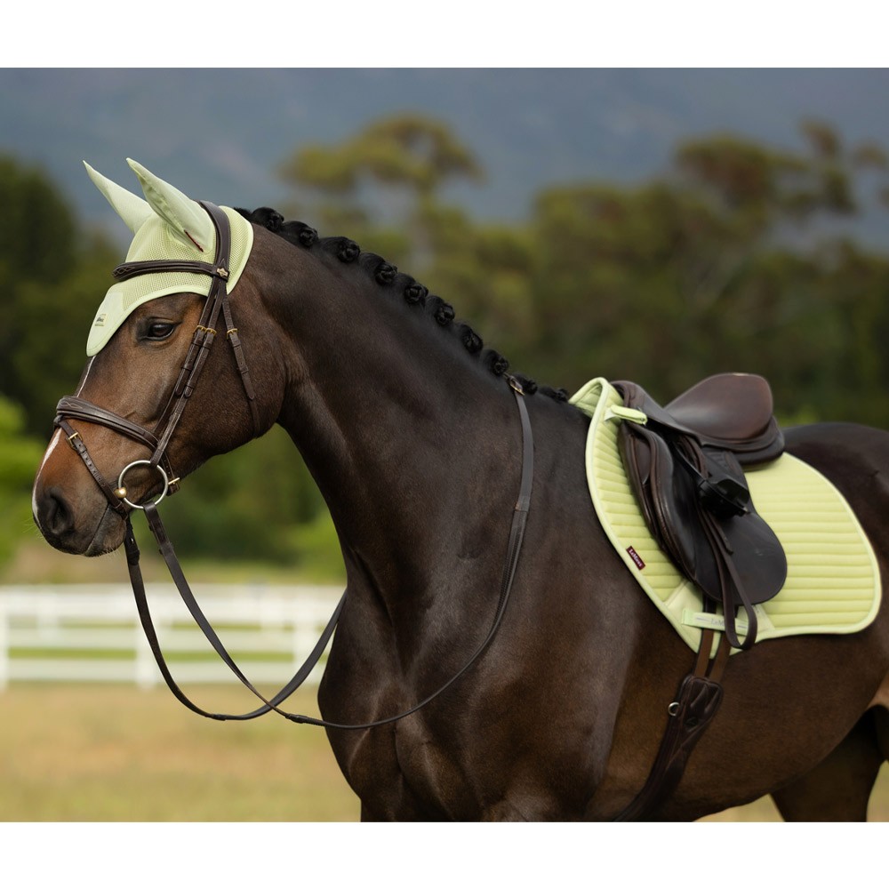 LeMieux Air Tek Mesh Close Contact Square Green