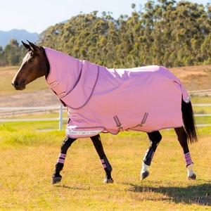 LeMieux LeMieux Arika Ripstop 50g Turnout Rug in Fondant