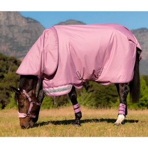 LeMieux LeMieux Arika Ripstop 50g Turnout Rug in Fondant