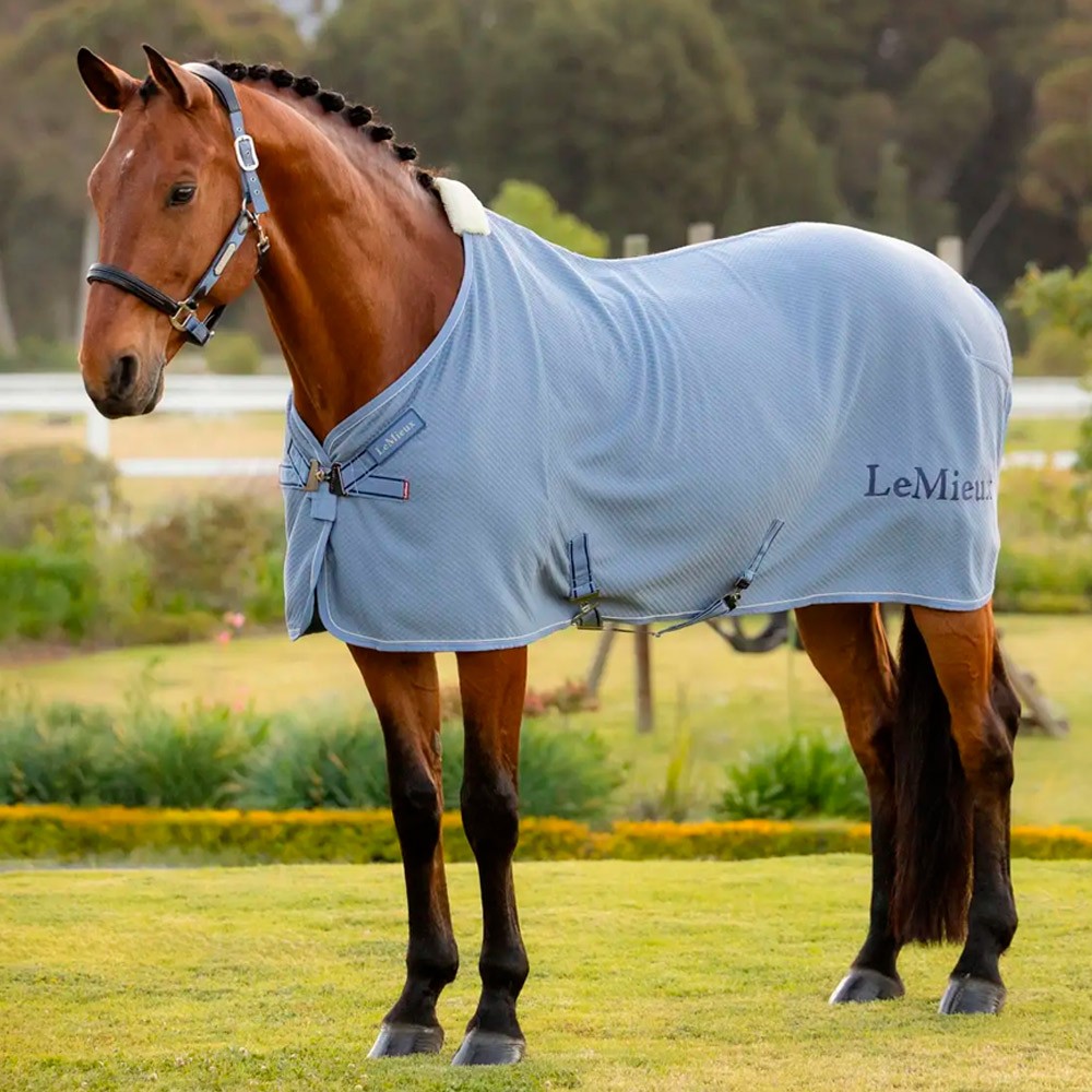 LeMieux LeMieux Kudos Bamboo Cooler in Powder Blue