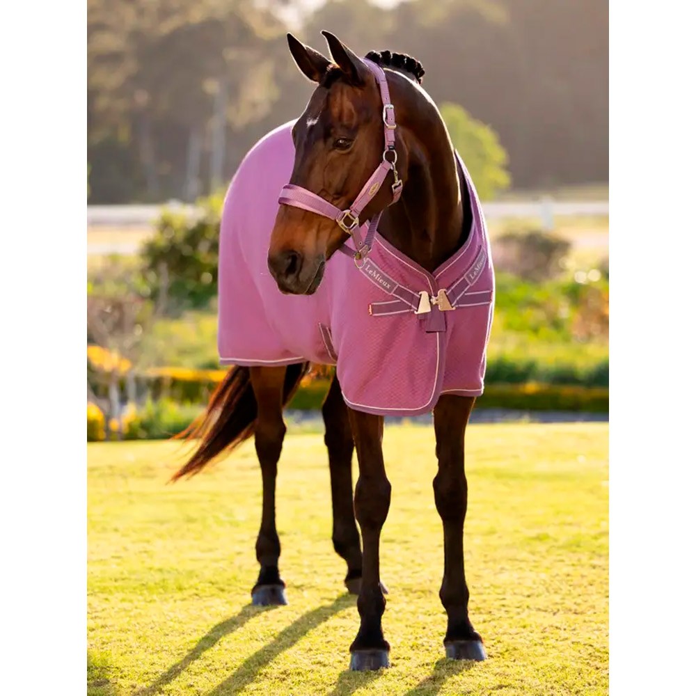 LeMieux Kudos Bamboo Cooler Pink