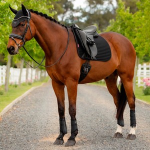 LeMieux LeMieux Air Tek Mesh Dressage Square in Black