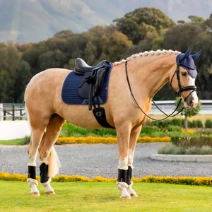 LeMieux LeMieux Air Tek Mesh Dressage Square in Shadow