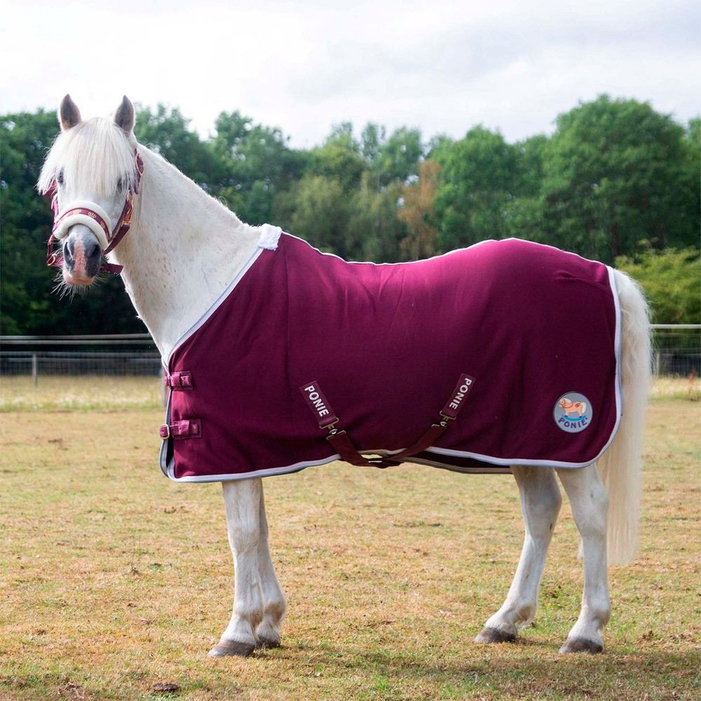 Gallop Gallop Ponie Jersey Cooler in Burgundy/White/Grey
