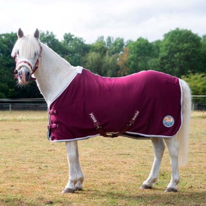 Gallop Gallop Ponie Jersey Cooler in Burgundy/White/Grey