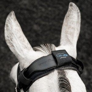 Horseware Horsware Ionic Poll Cover in Black