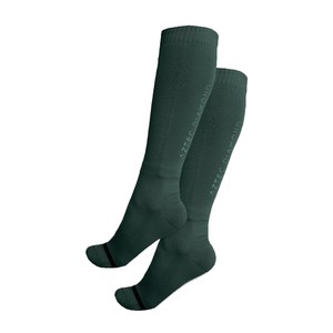 Aztec Diamond Aztec Diamond Technical Sock (2 Pack) in Fern