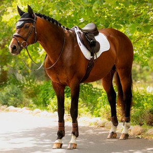 LeMieux LeMieux Cotton GP Square Saddle Pad in White
