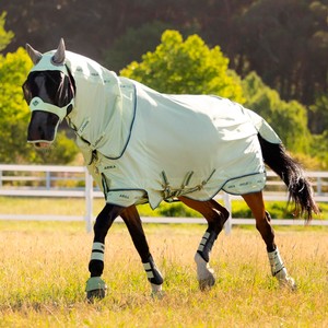 LeMieux LeMieux Arika Armour-Tek Fly Rug in Macaron