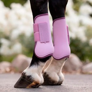 LeMieux LeMieux Arika Tendon Boots in Fondant