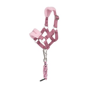 LeMieux LeMieux Toy Pony Headcollar in Mallow