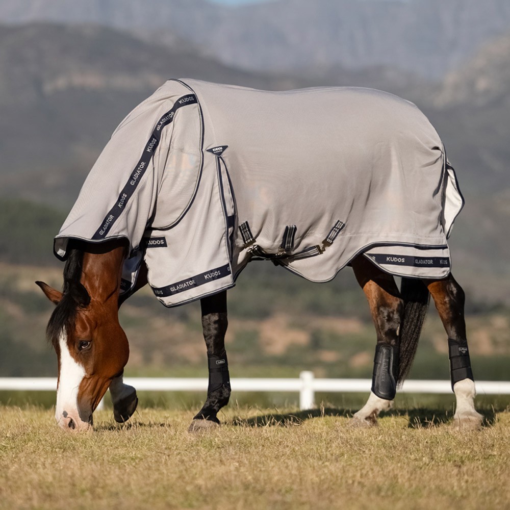 LeMieux Kudos Gladiator Fly Rug Grey