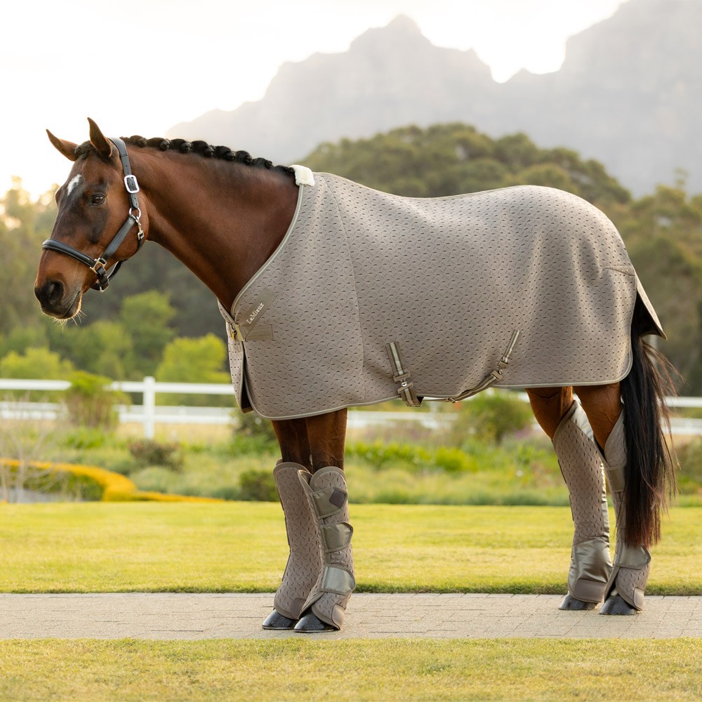 LeMieux LeMieux Kudos 3D Mesh Travel Rug in Pecan