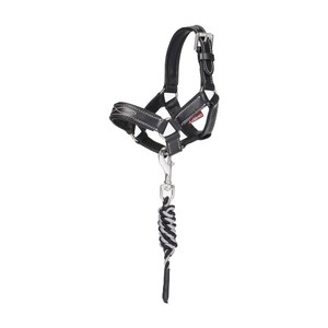 LeMieux LeMieux Toy Pony Leather Headcollar in Black