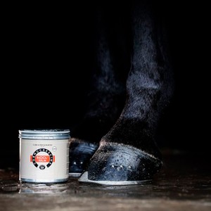 Carr & Day & Martin Carr & Day & Martin Cornucrescine Hoof Balm in Clear