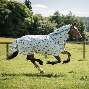 Horseware Amigo Bug Rug Plus Fly Sheet in Dragonfly Print