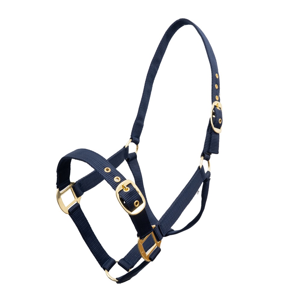 Houghton Country Houghton Country Classic Nylon Headcollar in Navy