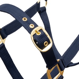 Houghton Country Houghton Country Classic Nylon Headcollar in Navy