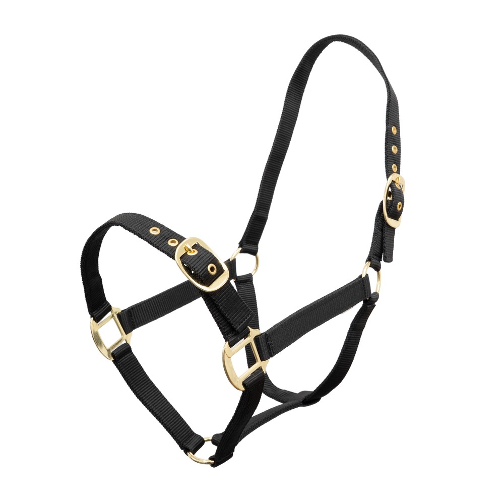 Houghton Country Houghton Country Classic Nylon Headcollar in Black