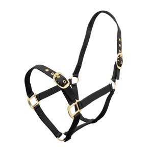 Houghton Country Houghton Country Classic Nylon Headcollar in Black