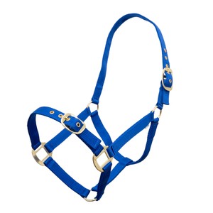 Houghton Country Houghton Country Classic Nylon Headcollar in Royal Blue