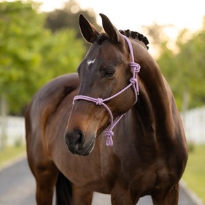 LeMieux LeMieux Rope Halter in Fondant